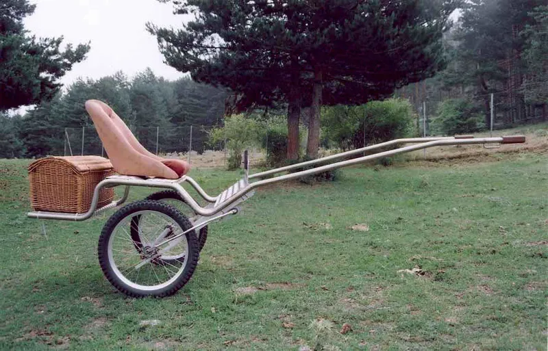 Komplette Seitenansicht des Coche de Caballos Navarro