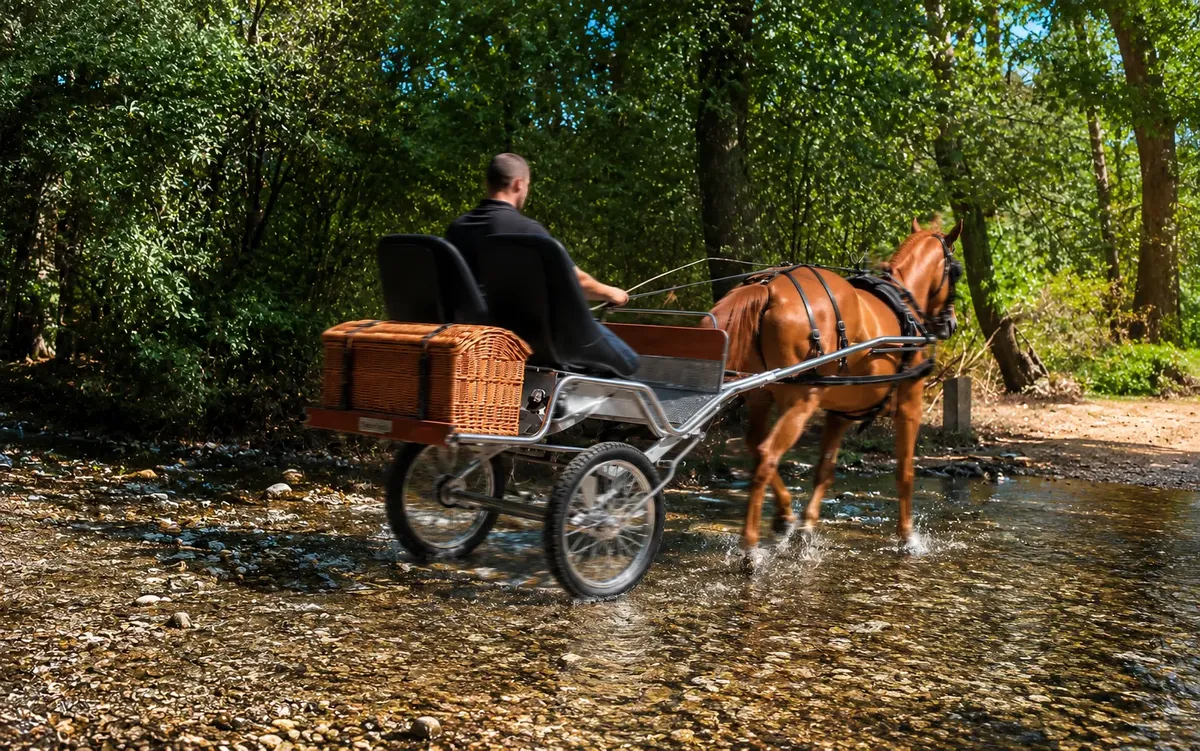 Coche de Caballos Navarro fording the Moros river, Sierra de Guadarrama, with a chestnut horse