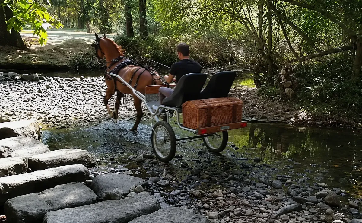Coche de Caballos Navarro cruzando el río Eresma por un paso de piedra, cerca de la Fuenfría