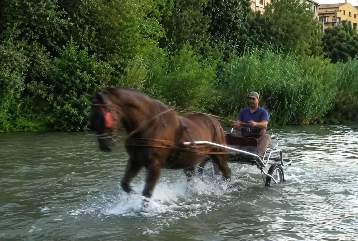 Coche de Caballos Navarro cruzando un río a su paso por Segovia
